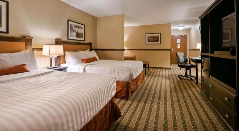 Best Western Diamond Inn Three Hills Εξωτερικό φωτογραφία